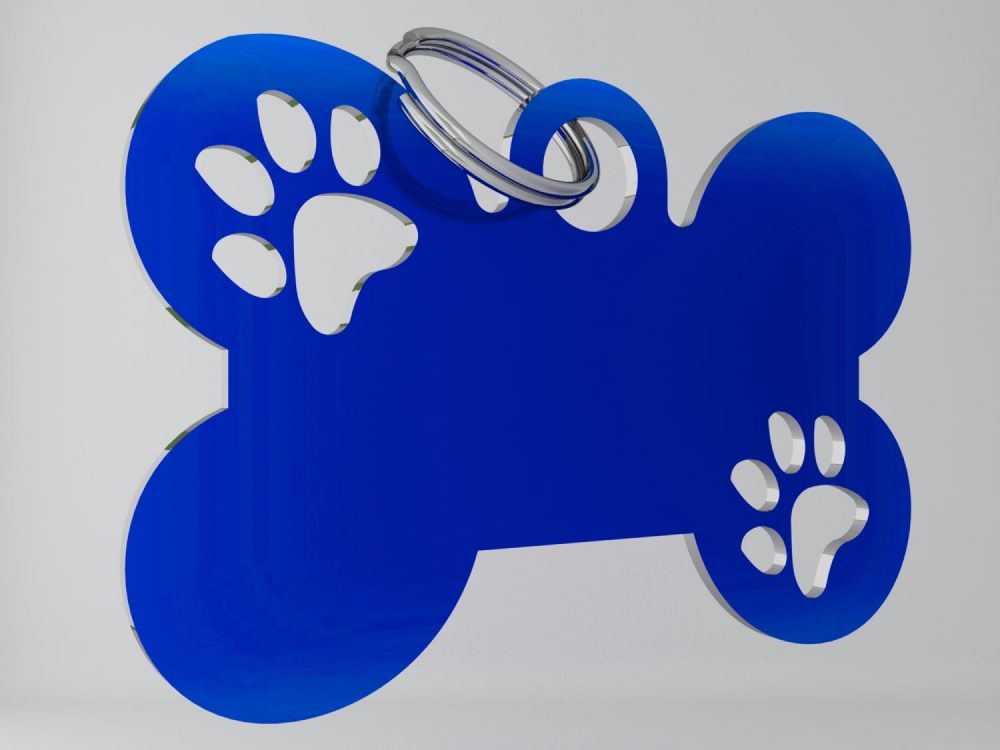 Medaglietta-personalizzata-osso-con-zampa-funny-blu-fronte